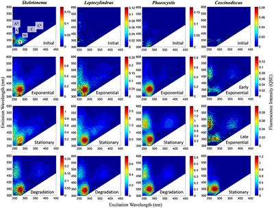 Formation of Chromophoric Dissolved Organic Matter by Bacterial Degradation of Phytoplankton-Derived Aggregates